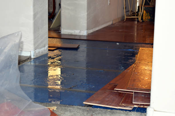 Professional Burst Pipe Cleanup technician working in Homewood, IL